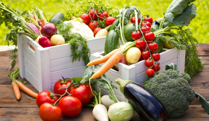 Выставка Global Fresh Market: vegetables and fruits